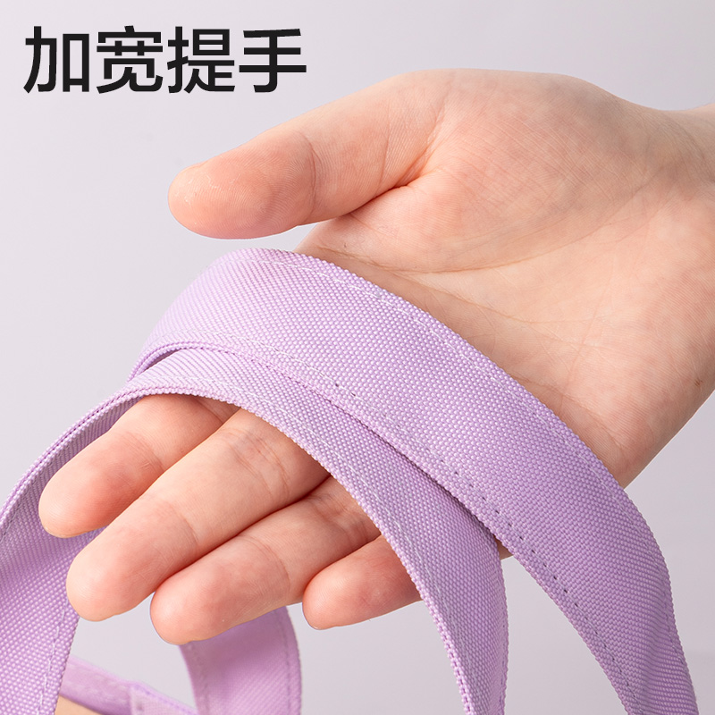 6008集团官方网站BA202卡通系列补习袋(混)(个)