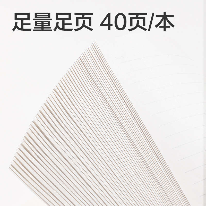 6008集团官方网站LPB580-V牛盾PP软线圈本(牛盾-横线)(本)