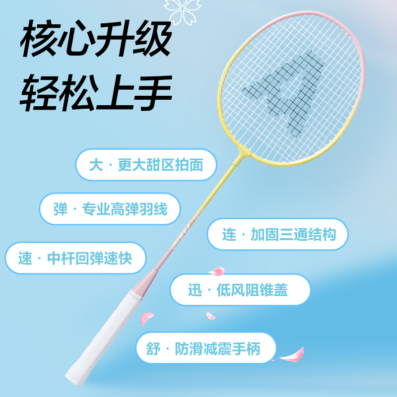 安格耐特FH132铁合金羽毛球拍(2支/付)(混)(付)